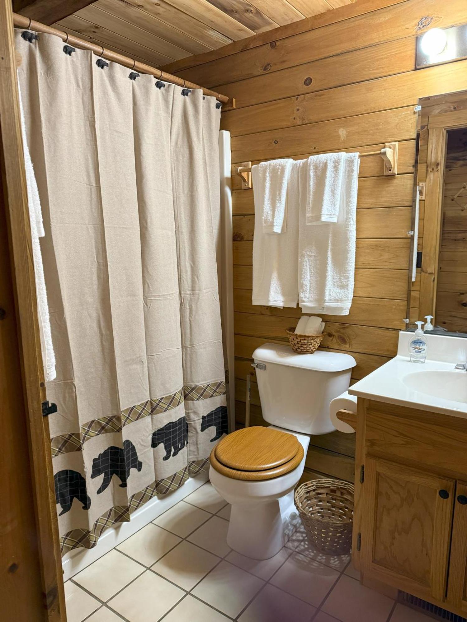 Cozy Bear Cabin-Stunning Mountain View, Dogs Welcome With Pet Rate マギー・バレー エクステリア 写真